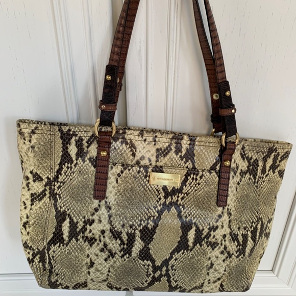 Brahmin - Picture 5 of 6